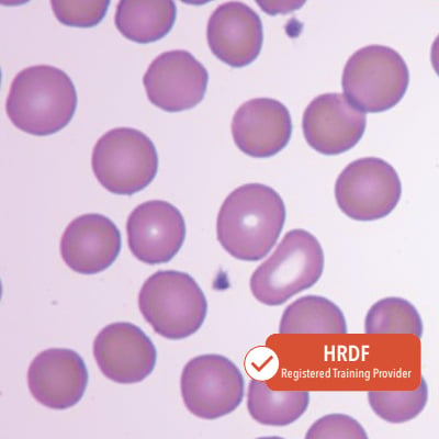 ONLINE: Bare Basics Of The Haemogram And Peripheral Blood Smear